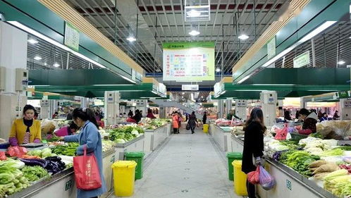 路橋食光 共享美味，打造農產品批發新生態